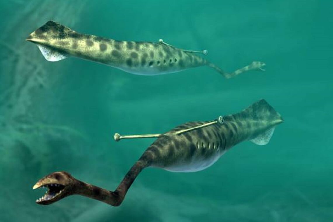 Кто такой Талли монстр и кому принадлежат таинственные ископаемые останки?