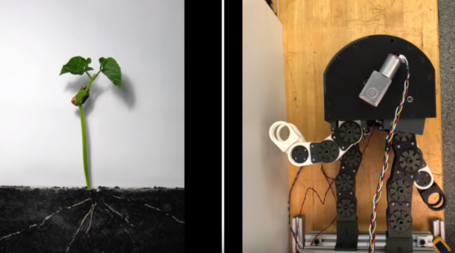 Робот американских ученых из MIT меняет форму и проникает в узкие щели