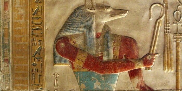 Зачем древние египтяне мумифицировали миллионы птиц?