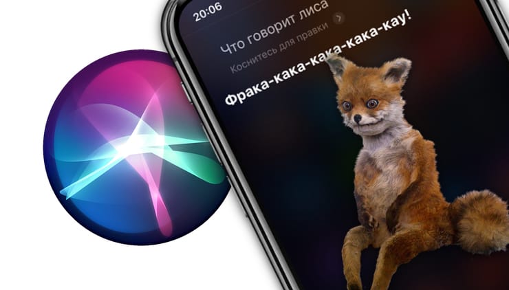 Почему на вопрос «Что говорит лиса?» Siri отвечает именно так
