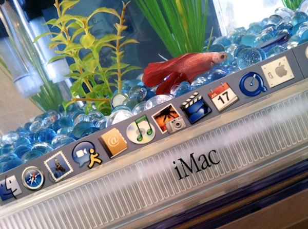 Аквариум из iMac