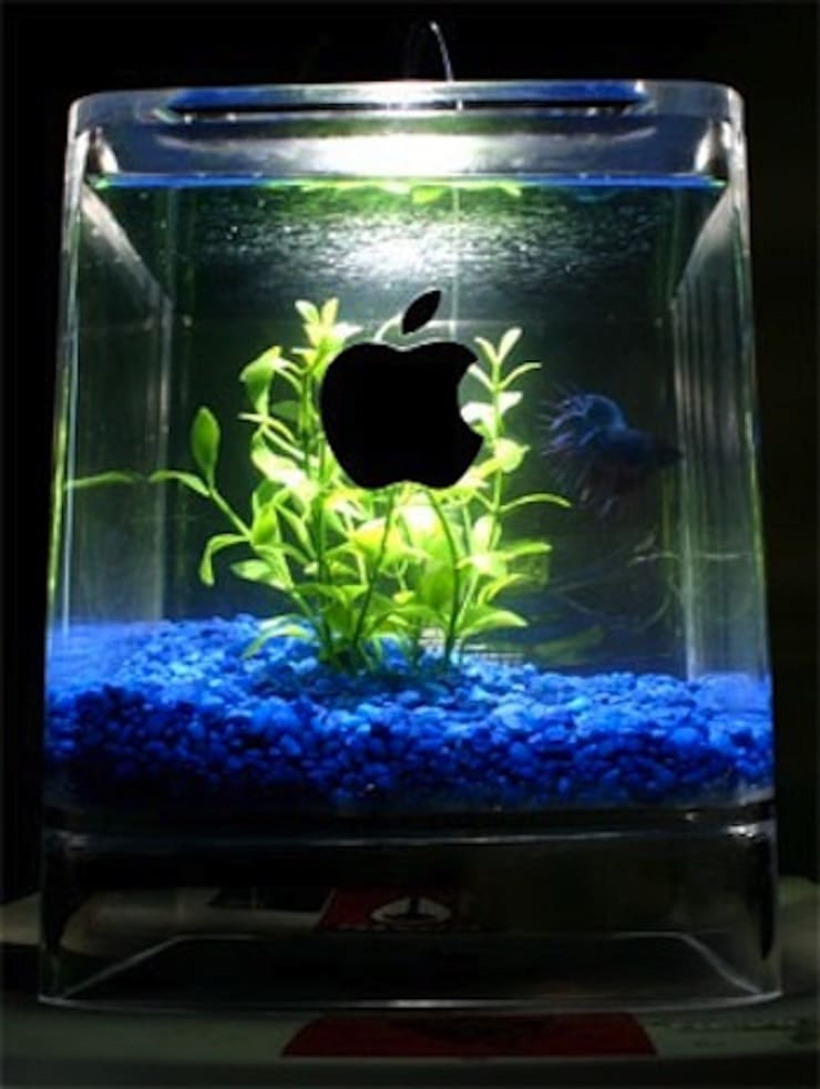 Aquarium from Power Mac Cube