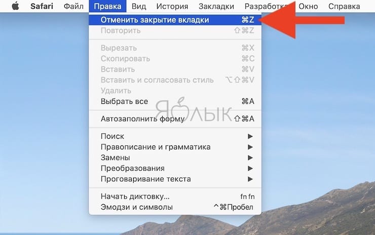 Как открыть закрытые вкладки в Safari на Mac