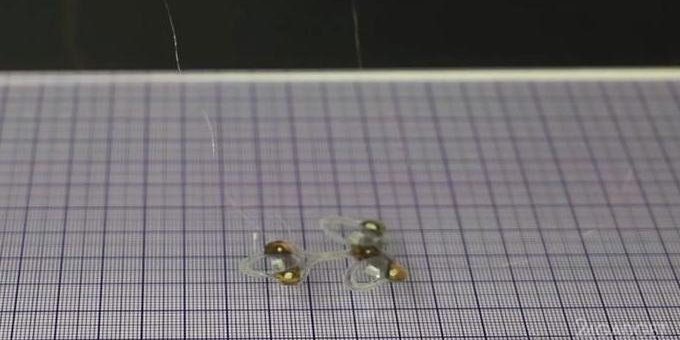 Инженеры создали «бессмертную» робота-муху (видео) » 24Gadget.Ru :: Гаджеты и технологии