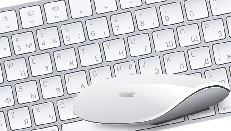 Не работает мышь на Mac (macOS), как управлять курсором с клавиатуры