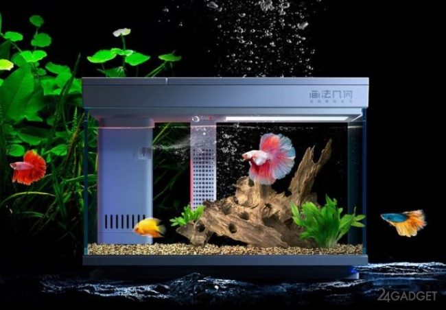 Смарт аквариум от Xiaomi (5 фото) » 24Gadget.Ru :: Гаджеты и технологии