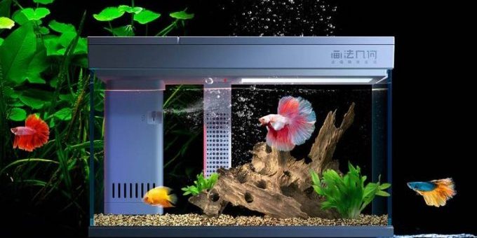 Смарт аквариум от Xiaomi (5 фото) » 24Gadget.Ru :: Гаджеты и технологии