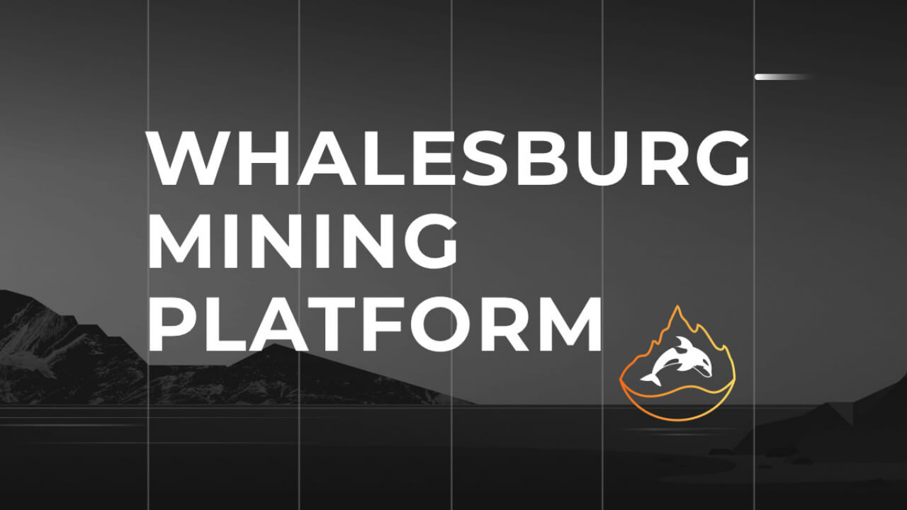 Whalesburg — Обзор майнинг пула — Статистика и общая информация