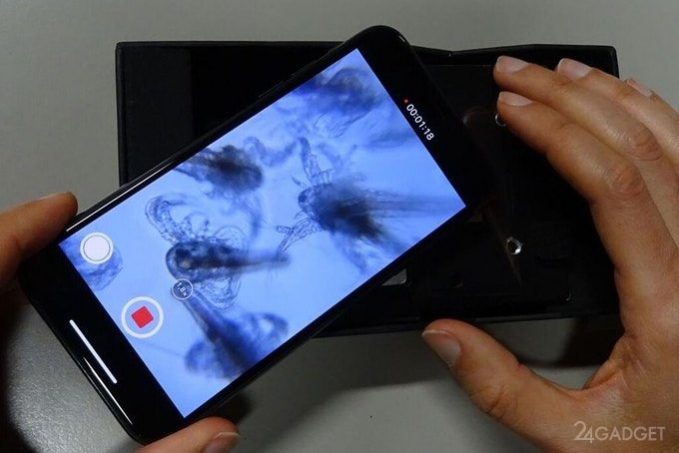 Устройство DIPLE превращает смартфон в микроскоп с 1000 увеличением (3 фото + видео) » 24Gadget.Ru :: Гаджеты и технологии