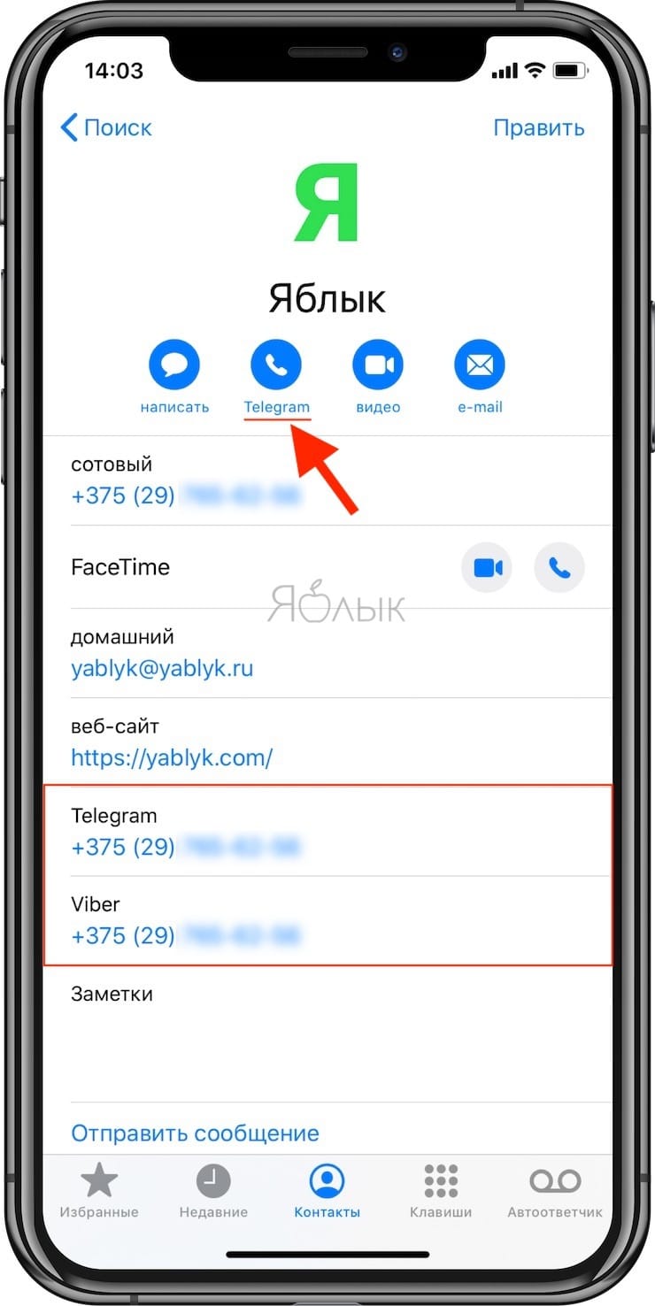 Как отправить видео из телеграмма в whatsapp фото 29