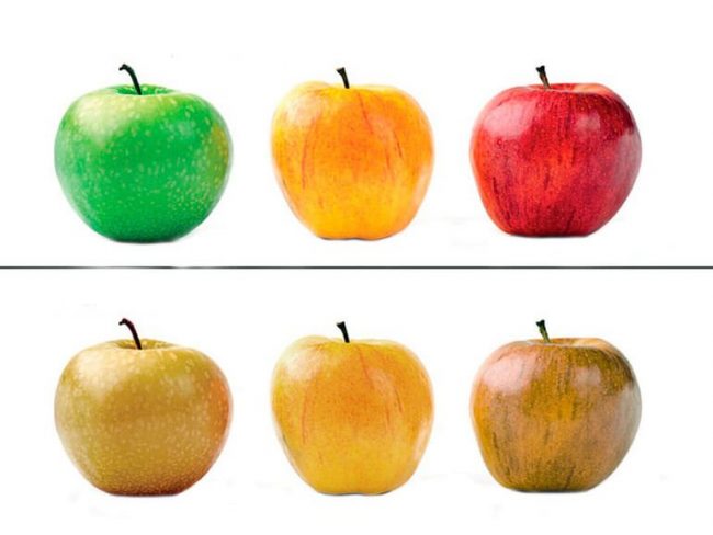 Контактные линзы могут помочь страдающим дальтонизмом