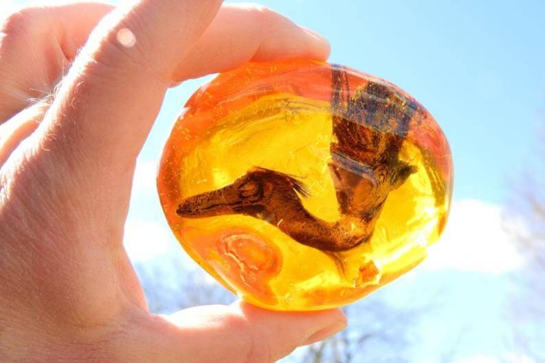 Найдено живое ДНК динозавра. Возможно ли это?