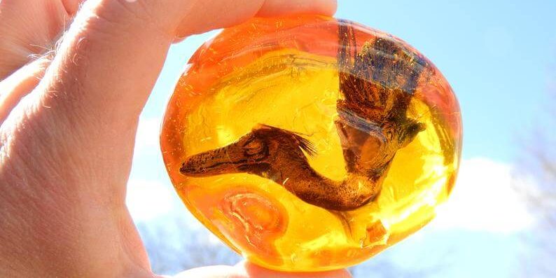 Найдено живое ДНК динозавра. Возможно ли это?