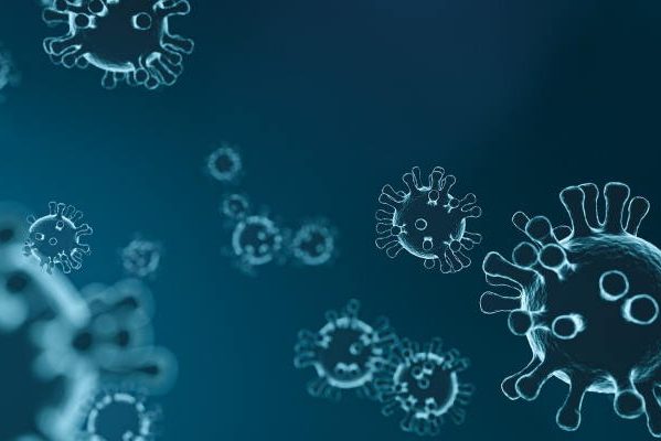 Правительство РФ запустило сайт для борьбы с коронавирусом