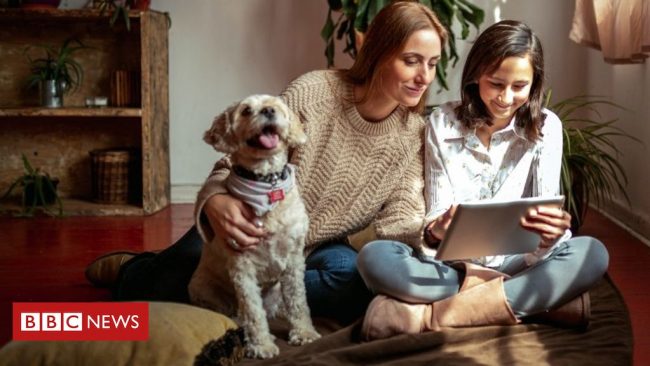 <pre>Коронавирус: способы оставаться в социальных сетях, находясь в самоизоляции