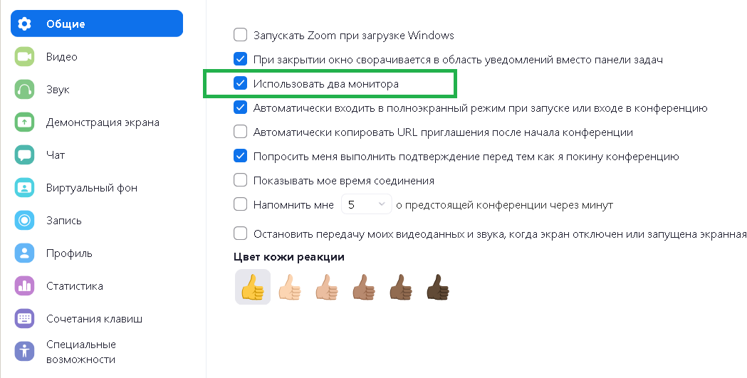 Как настроить Zoom_5