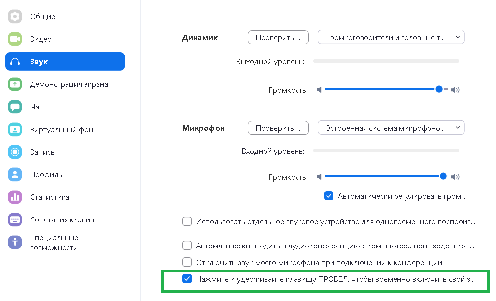 Как настроить Zoom_6