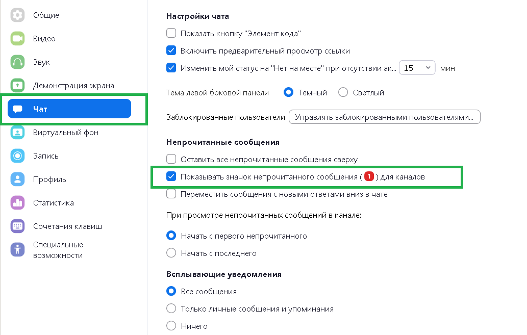 Как настроить Zoom_12