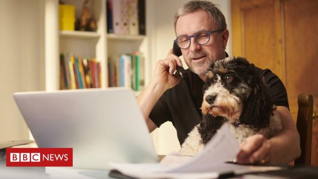 <pre>Коронавирус: использование электричества в течение дня, когда нация работает из дома