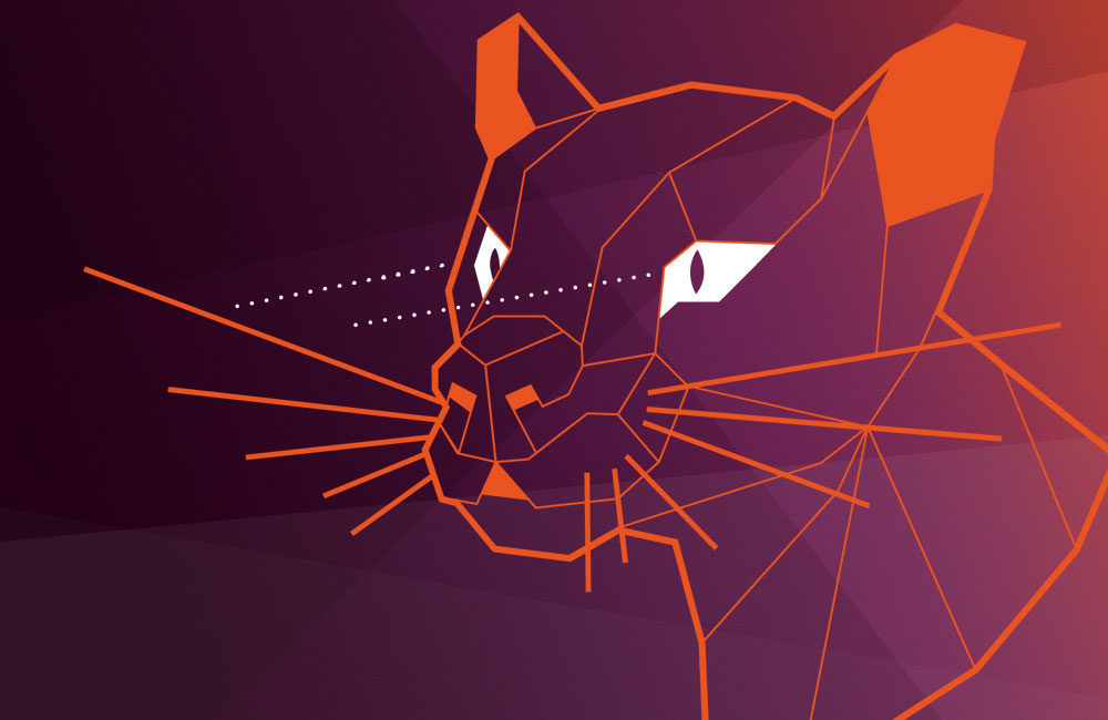 <pre>Ubuntu «Focal Fossa» рассказывает о безопасности предприятия