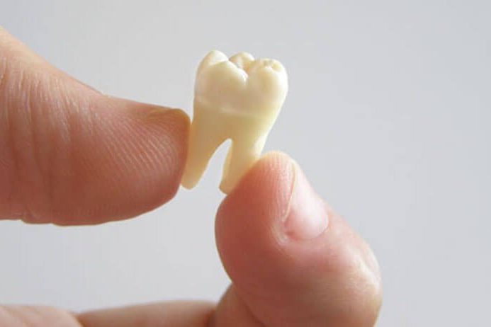 Зачем нужны молочные зубы и как они растут