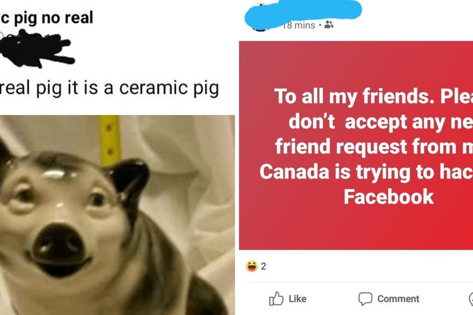 <pre>19 стариков, чьи посты в Facebook настолько забавны, что они должны поручить нам их увидеть