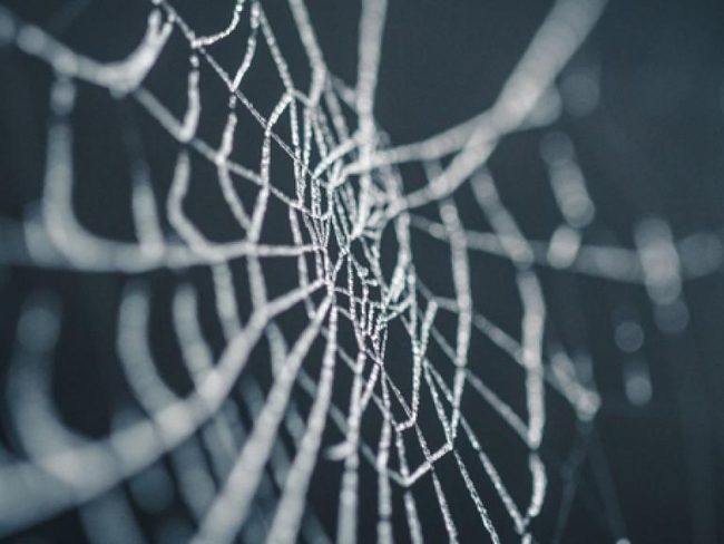 <pre>Хакерская группа продает более 73 миллионов записей пользователей в темной сети