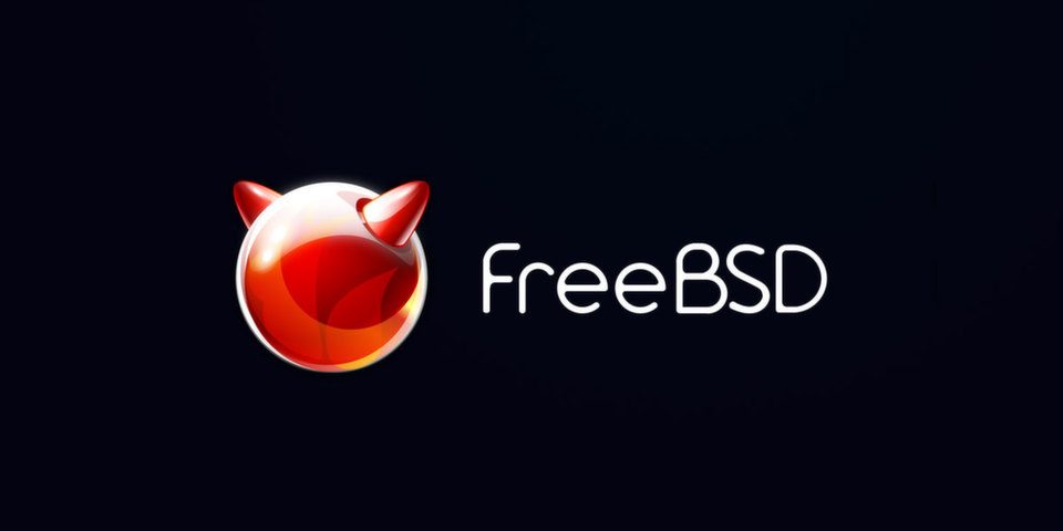 Сообщество FreeBSD сменило кодекс поведения — участники не приняли риторики Geek Feminism