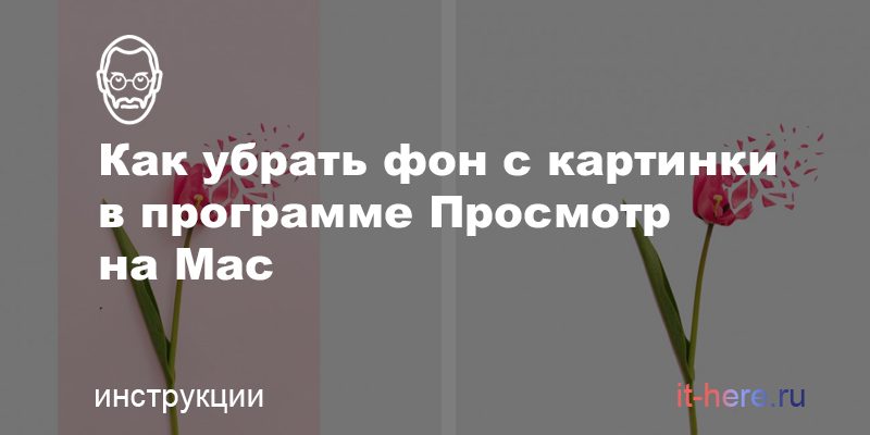Как убрать фон с картинки в программе Просмотр на Mac