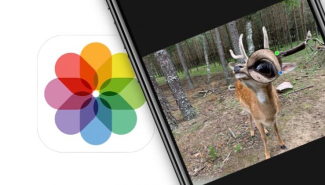 Как увеличить какой-либо фрагмент на фотографии в iPhone и iPad