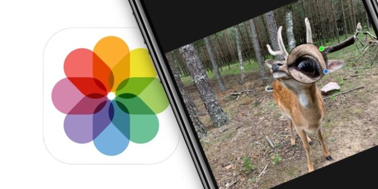 Как увеличить какой-либо фрагмент на фотографии в iPhone и iPad