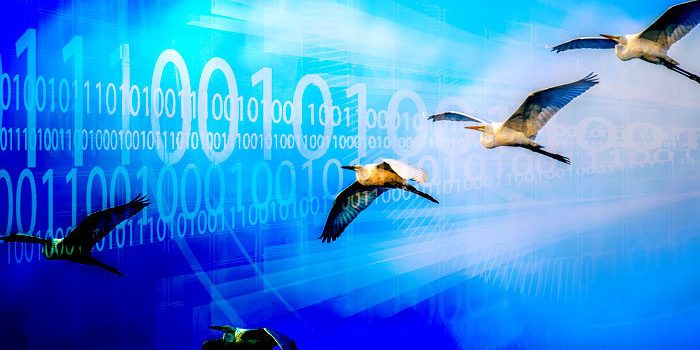 <pre>Руководство по миграции с Windows Server 2008