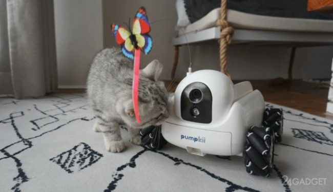 Робот Xiaomi Pumpkii для развлечения домашних животных (4 фото) » 24Gadget.Ru :: Гаджеты и технологии