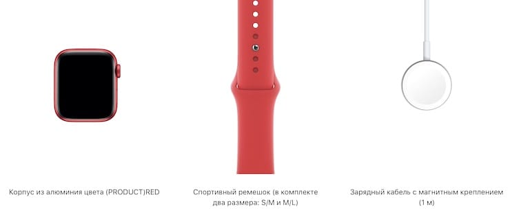 Комплект поставки Apple Watch Series 6