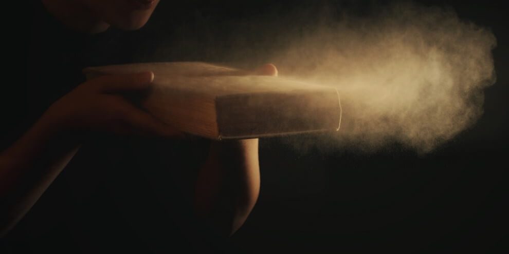 Что такое пыль и правда ли что она состоит из частичек кожи?