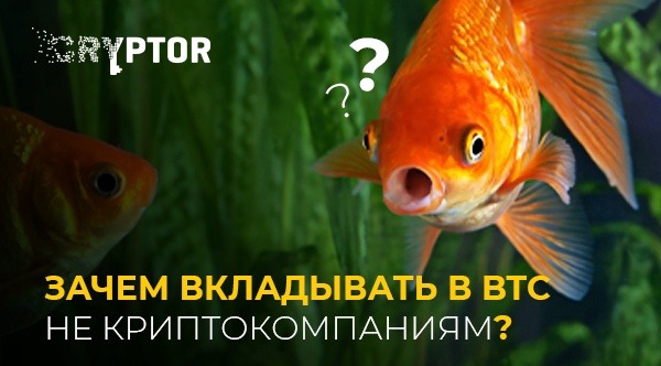 Зачем компании не из мира BTC вкладывать 85% своих денежных резервов в биткоин? Зачем компании не из мира BTC вкладывать 85% своих денежных резервов в биткоин?