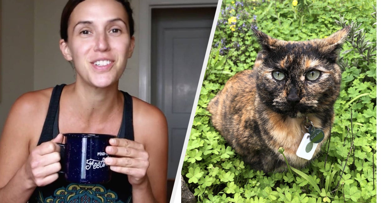 <pre>Лучшие технические продукты 2020 года