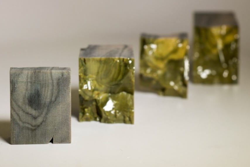 Способна ли наука создавать искусственную древесину?