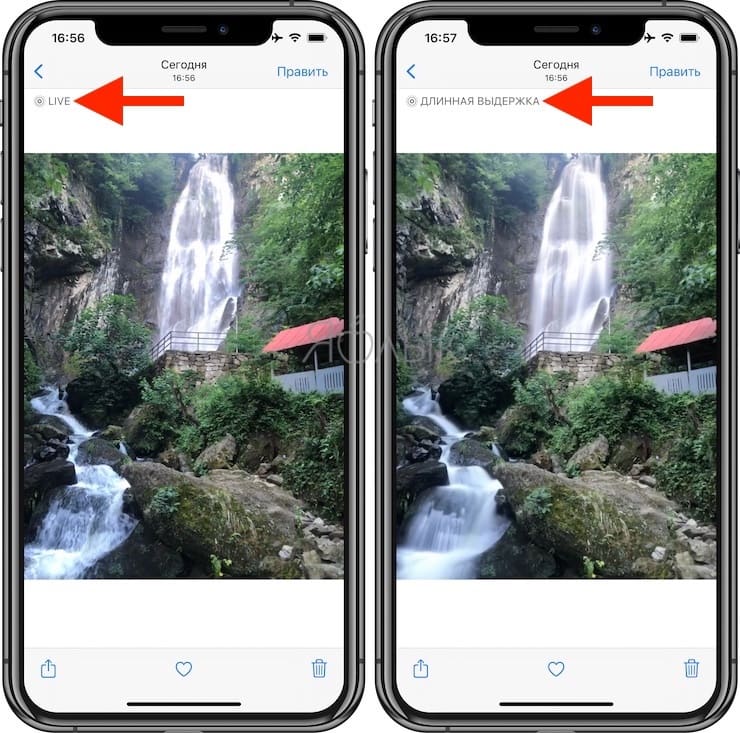Как передать Live Photos с iPhone на iPhone или iPad