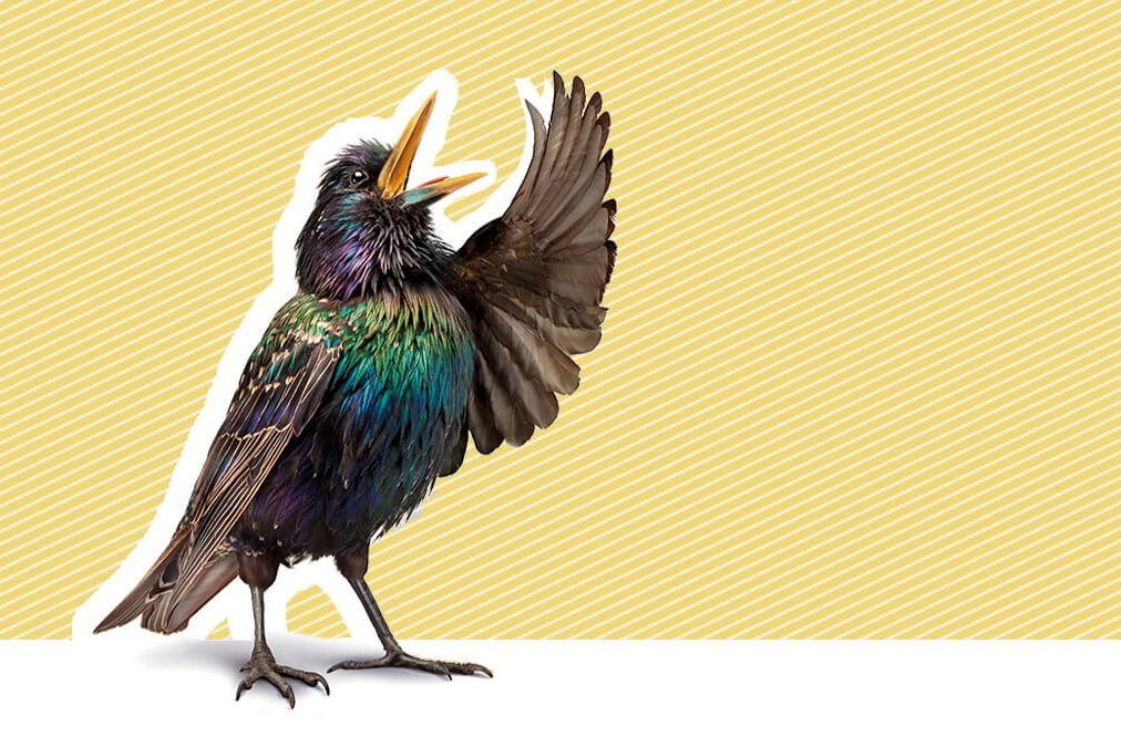 Почему факты больше не убедительны?