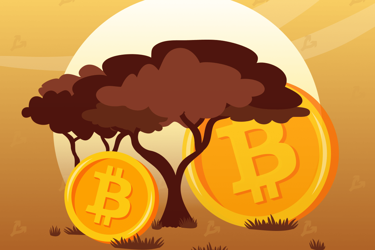 Цена биткоина в Нигерии достигла $76 000