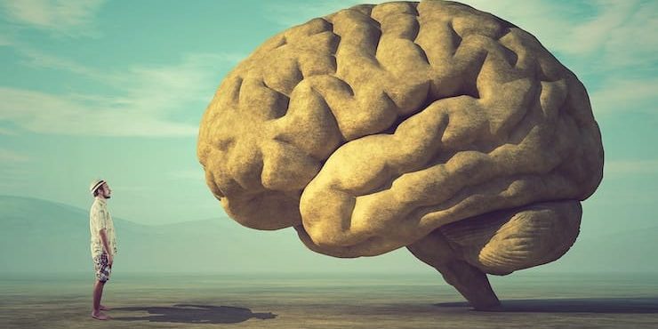 Мозг человека работает на 10%. Правда или миф?