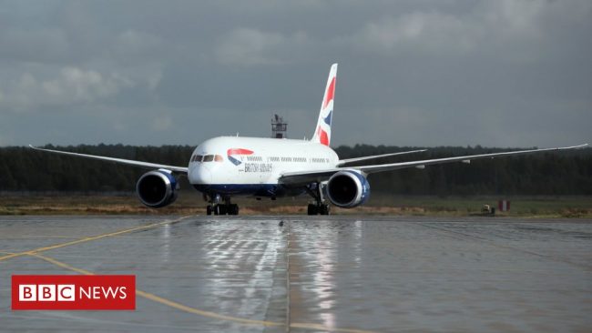 <pre>Covid-19: British Airways планирует проездной на основе приложения