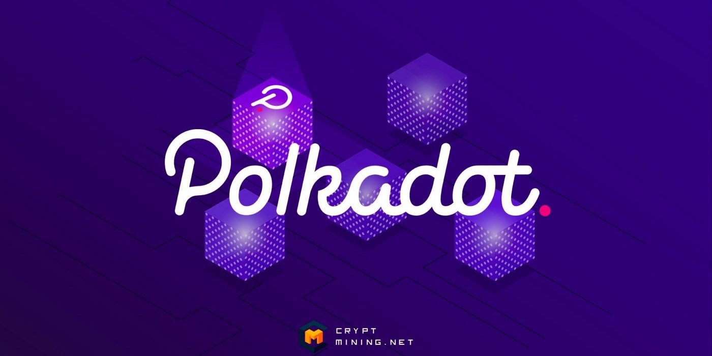 Что такое парачейны, для чего они нужны, и во сколько обойдутся