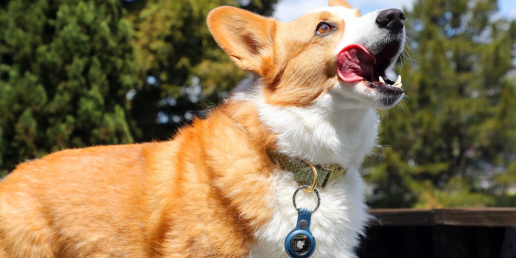<pre>Обзор Apple AirTag: скромный трекер с технологиями нового поколения