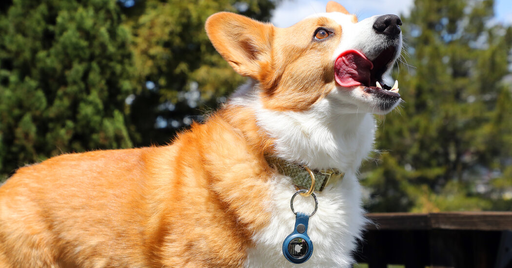 <pre>Обзор Apple AirTag: скромный трекер с технологиями нового поколения