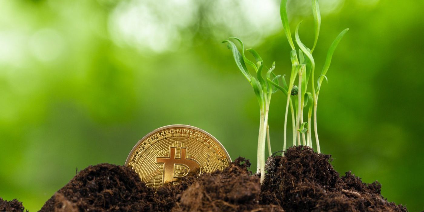 Gryphon Digital Mining — новый виток в сфере зеленого майнинга