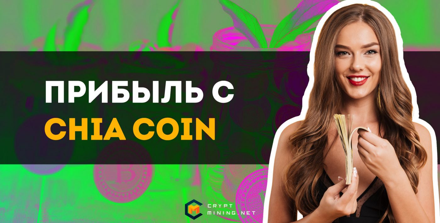 Как получить прибыль от майнинга Chia Coin