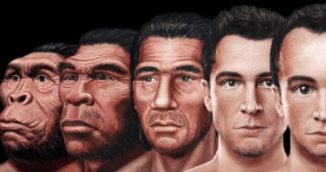 Люди начали эволюционировать быстрее, но гены тут ни при чем