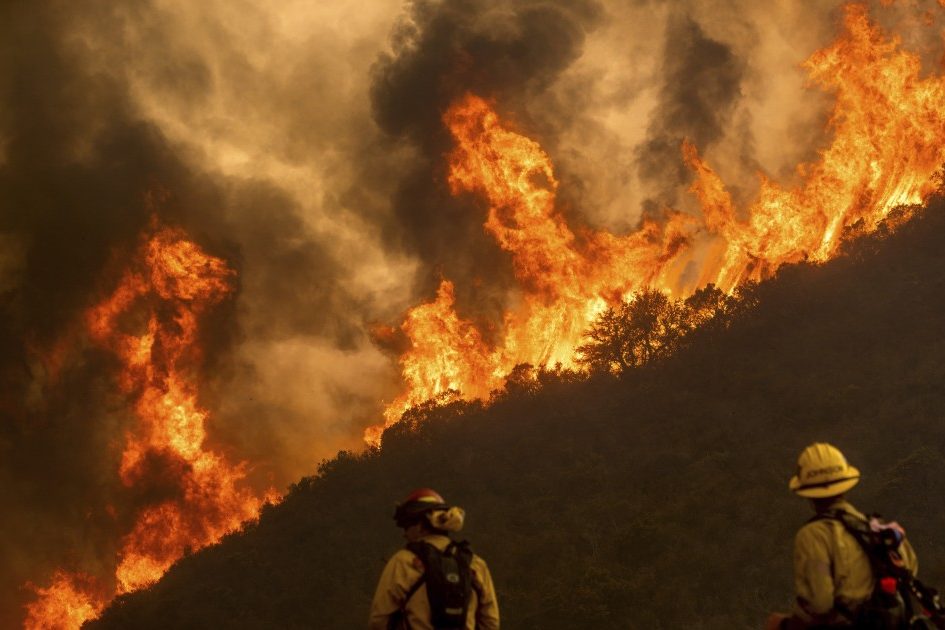 <pre>Срок действия программы отслеживания лесных пожаров истекает